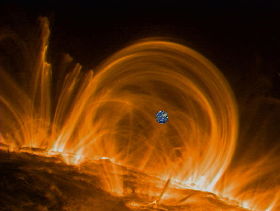 Solar Coronal Loops Photograph by Nasa - Fine Art America