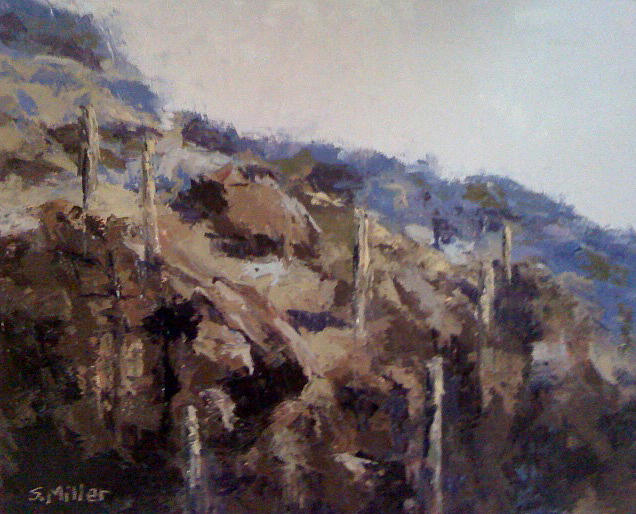 Somewhere near Tucson #1 Painting by Sylvia Miller