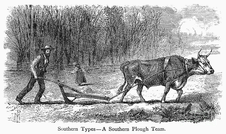 Southern Farmer, 1875 #1 Photograph by Granger