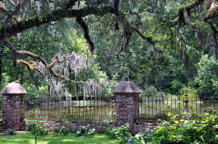 Southern View Photograph by Kathy Ricca | Fine Art America