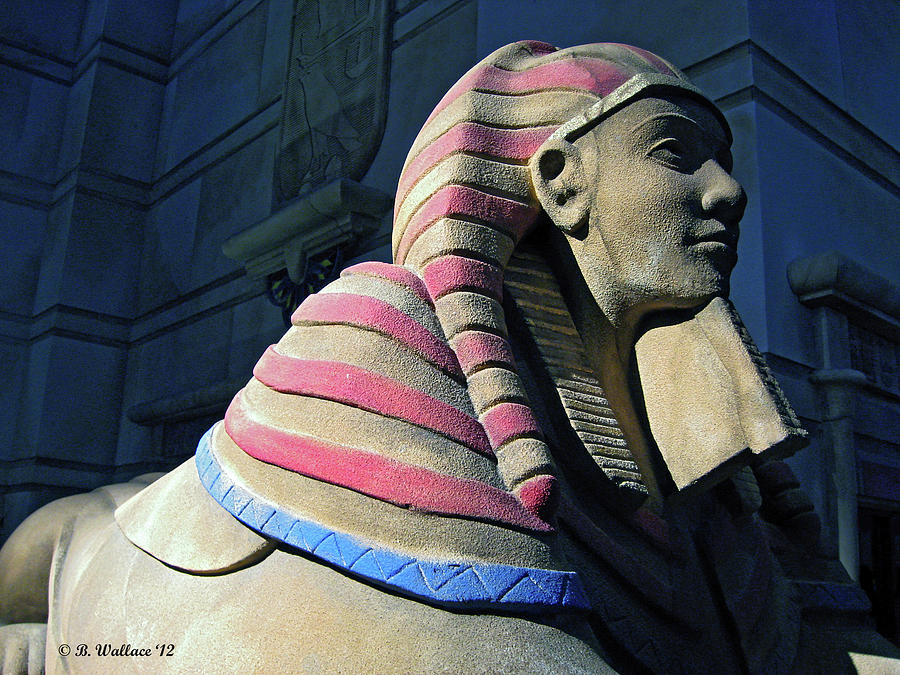 Sphinx Photograph by Brian Wallace