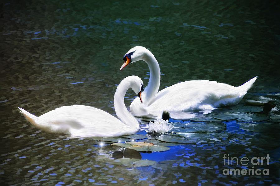 Spring Love #2 Photograph by Elaine Manley
