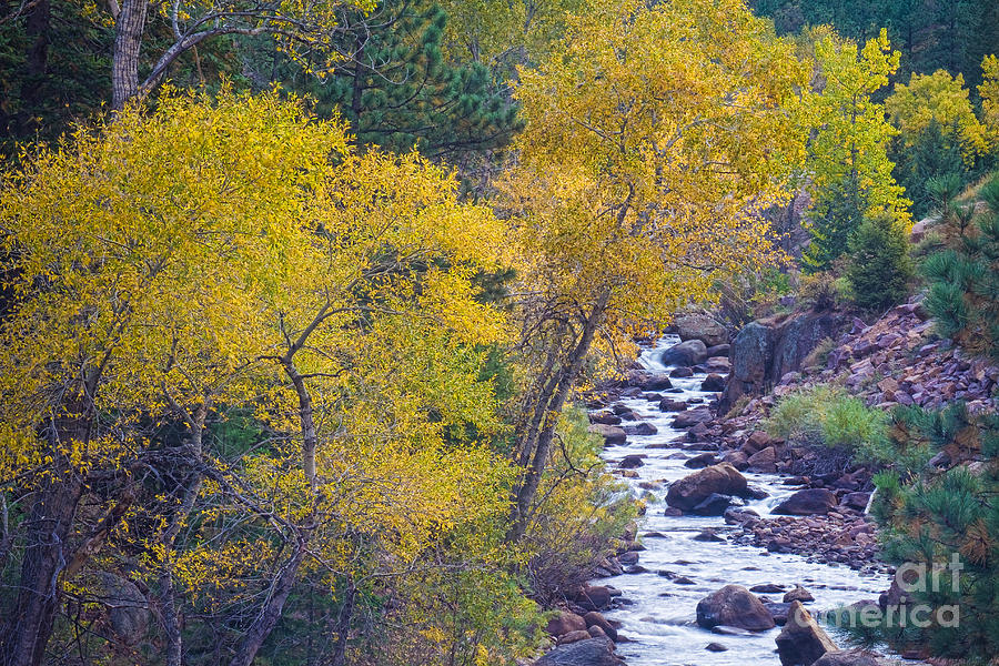 St Vrain Canyon and River Autumn Season Boulder County Colorado #2 Photograph by James BO Insogna