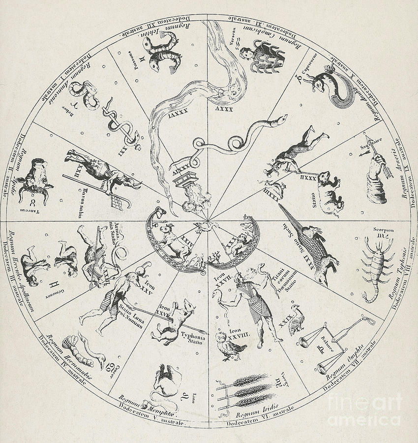 Star Map From Kirchers Oedipus #1 Photograph by Science Source