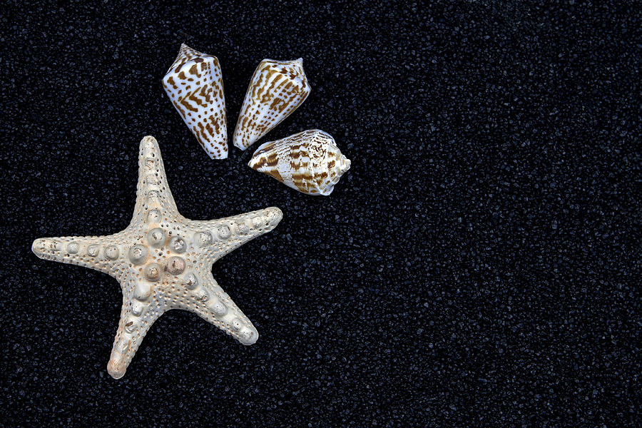 Summer Photograph - Starfish On Black Sand #1 by Joana Kruse