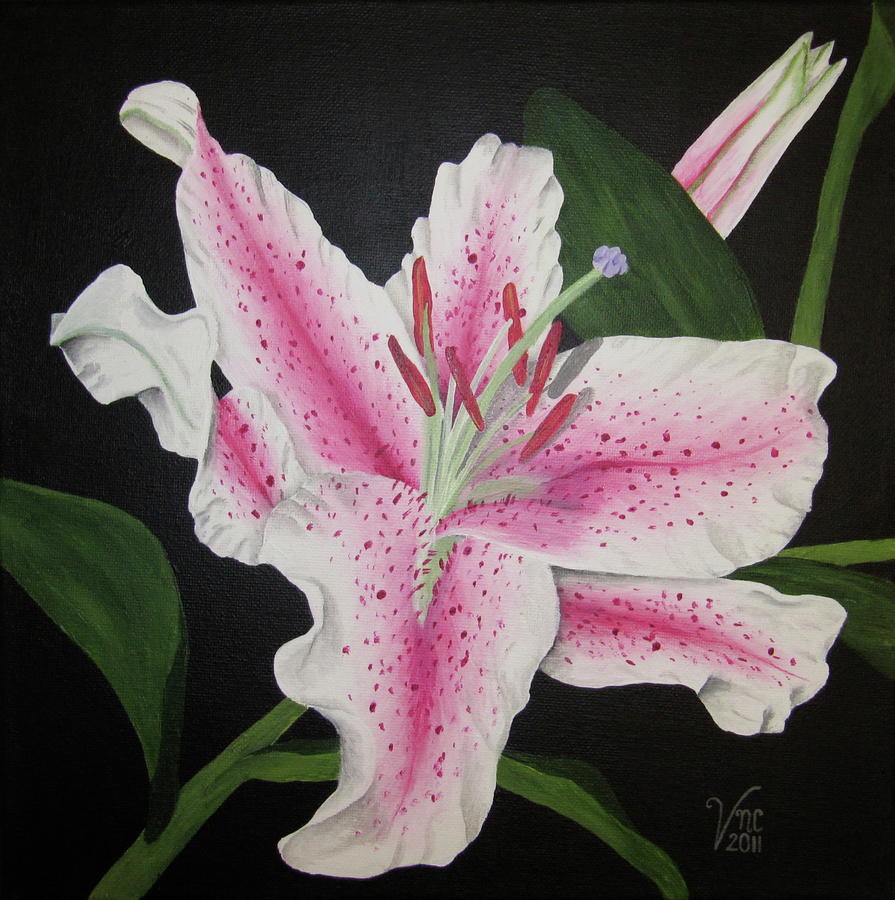 Stargazer Lily Painting by Valerie Crandall - Fine Art America