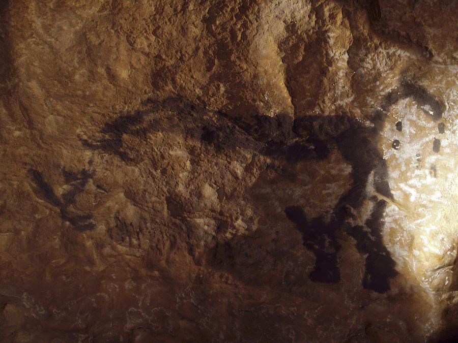 Stone-age Cave Paintings, Lascaux, France #1 Photograph by Javier Truebamsf