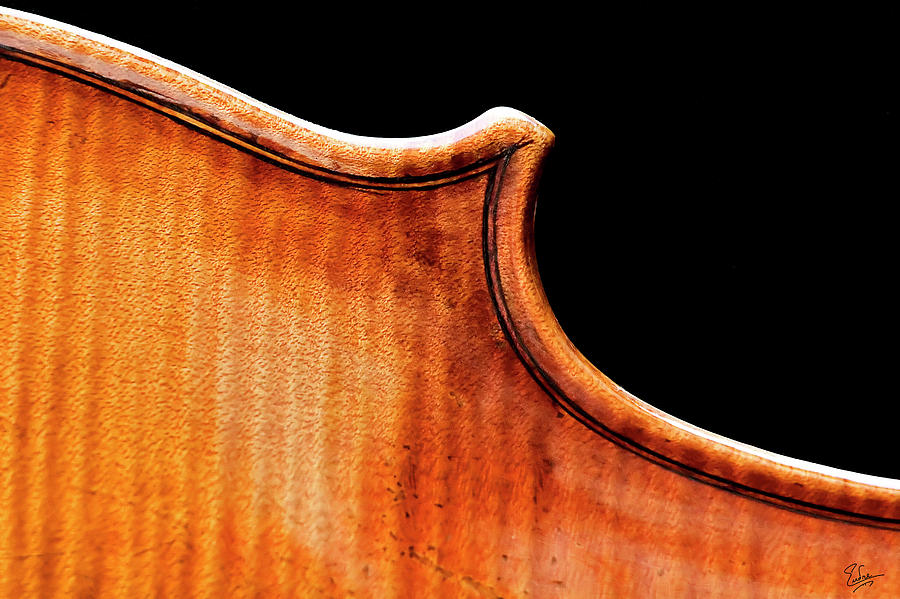 Stradivarius Back Corner #1 Photograph by Endre Balogh