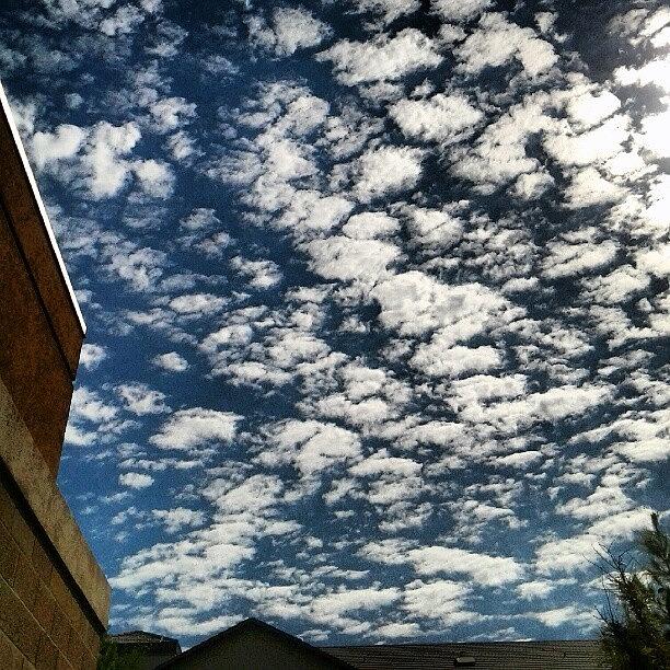 Such Pretty Puffy Clouds This Morning #1 Photograph by Saija Lehtonen