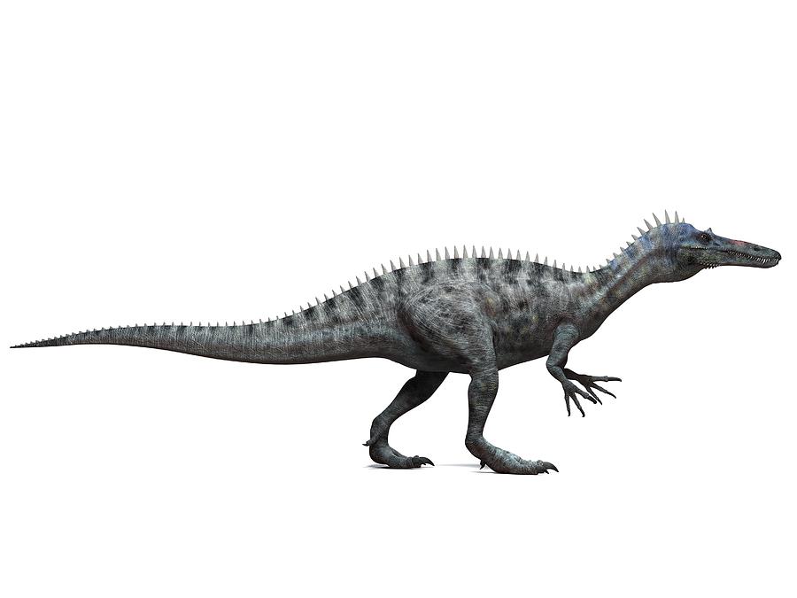 suchomimus dinosaur