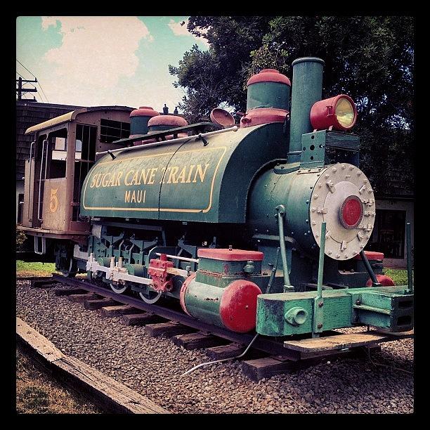 Sugar Cane Train #1 Photograph by Darice Machel McGuire