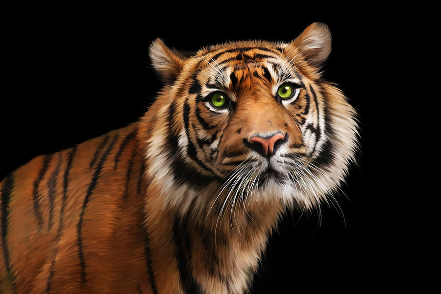 Sumatran Tiger Digital Art by Julie L Hoddinott
