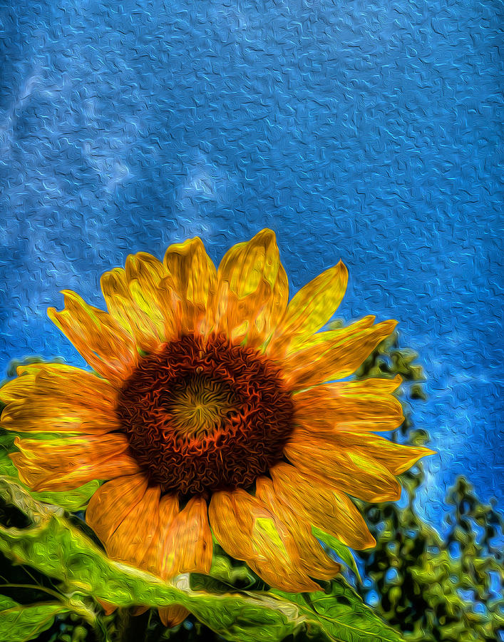 Sunflower #1 Digital Art by Prince Andre Faubert
