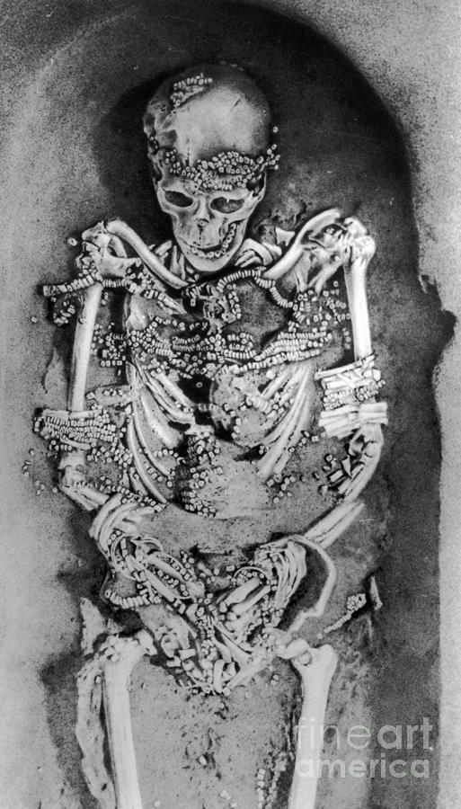 Sunghir Remains #1 Photograph by Science Source