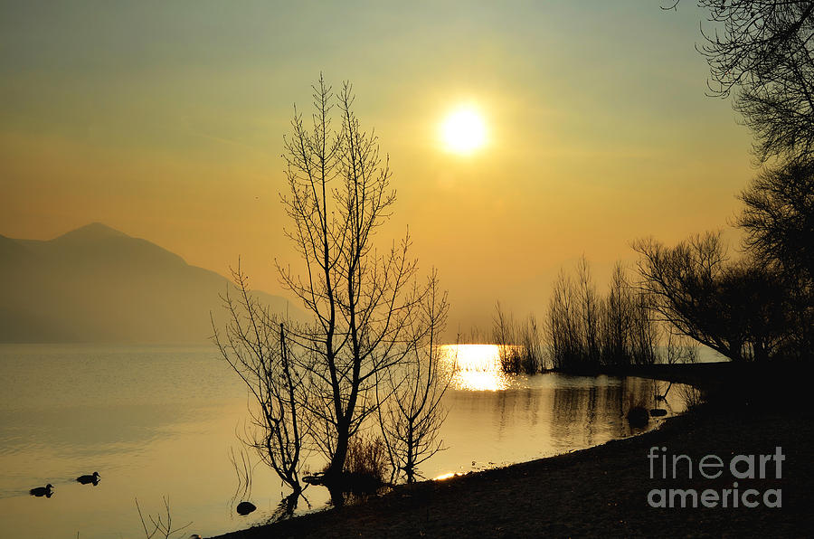 Sunlight over a lake #1 Photograph by Mats Silvan