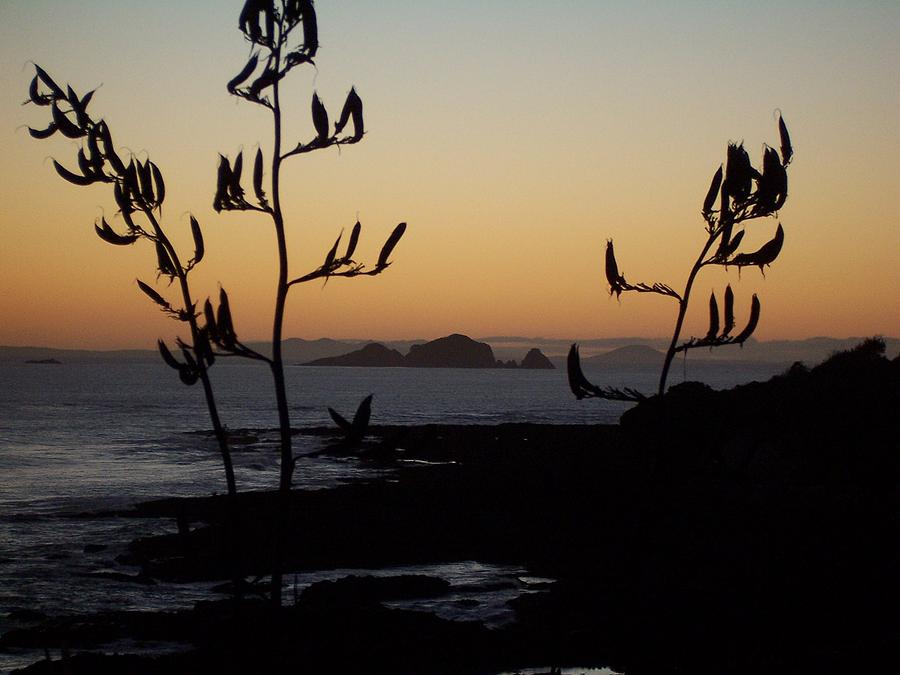 Sunrise on East Coast of North Island 1 Photograph by Peter Mooyman