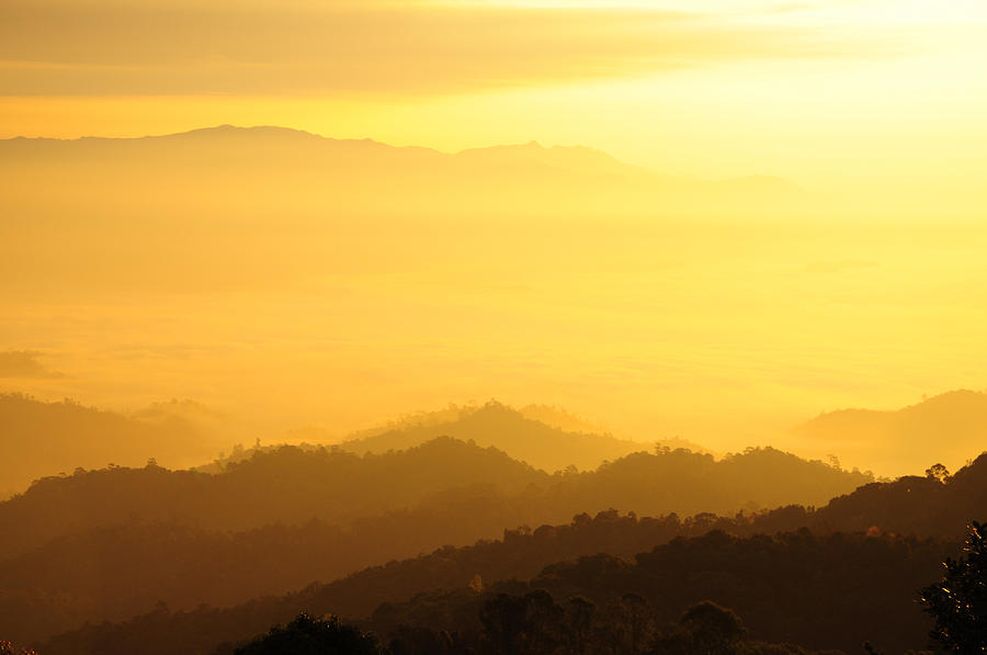 Sunrise over black forest mist Photograph by Preecha Sirima - Fine Art ...