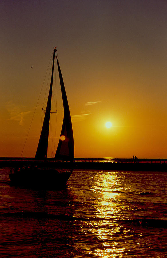SUNSET and SAILS #1 Photograph by Janice Adomeit