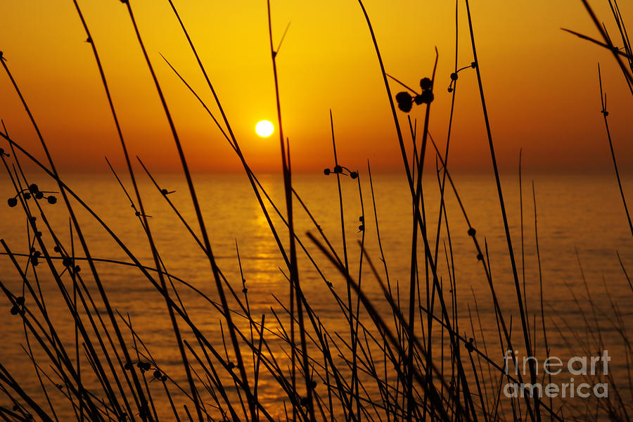 Nature Photograph - Sunset #1 by Carlos Caetano