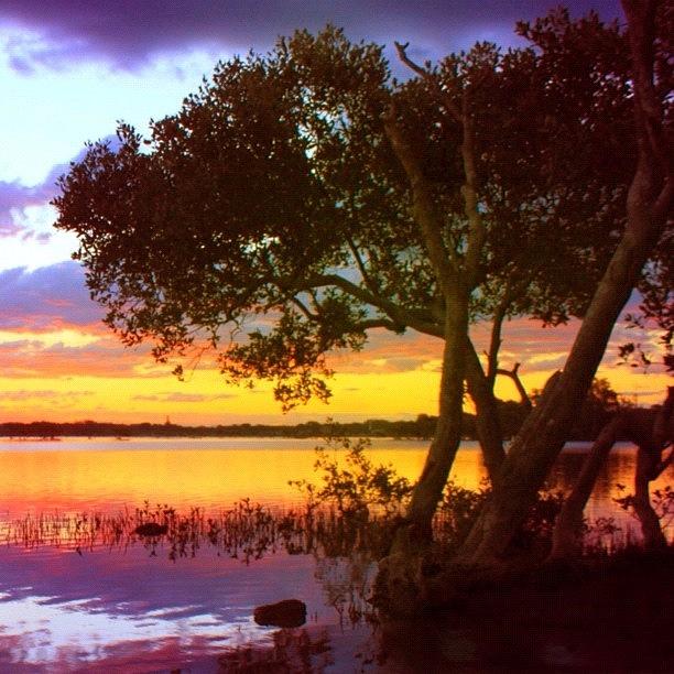 Sunset Photograph - #sunset #forster #australia #1 by Nicole Brooks
