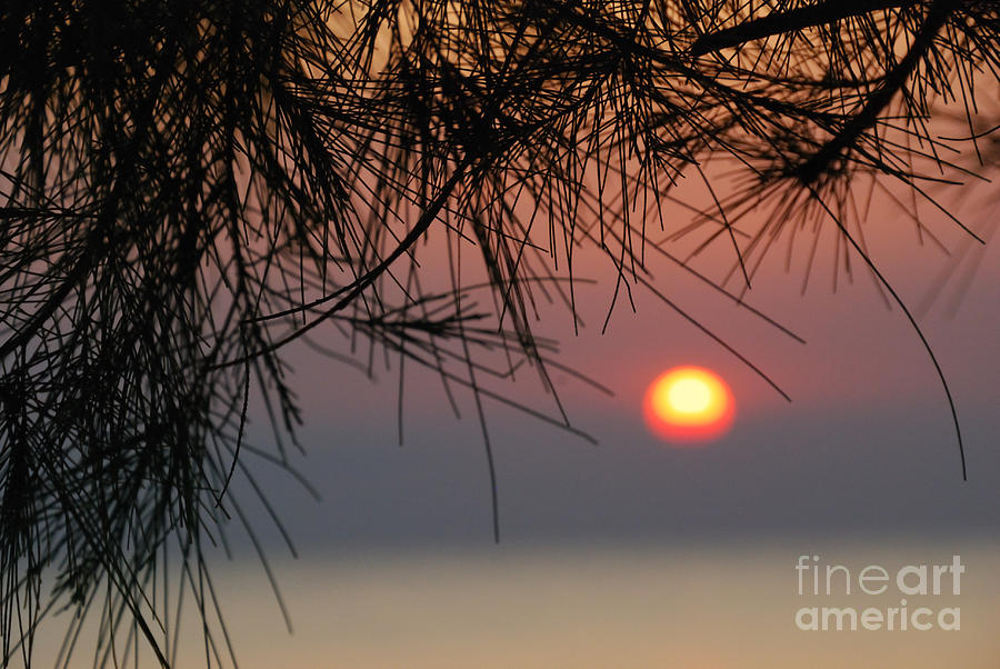 Sunset Photograph - Sunset in Zanzibar #1 by Alan Clifford