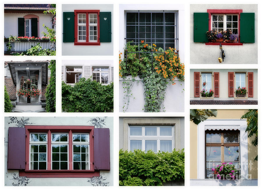 Swiss windows Photograph by Ariadna De Raadt