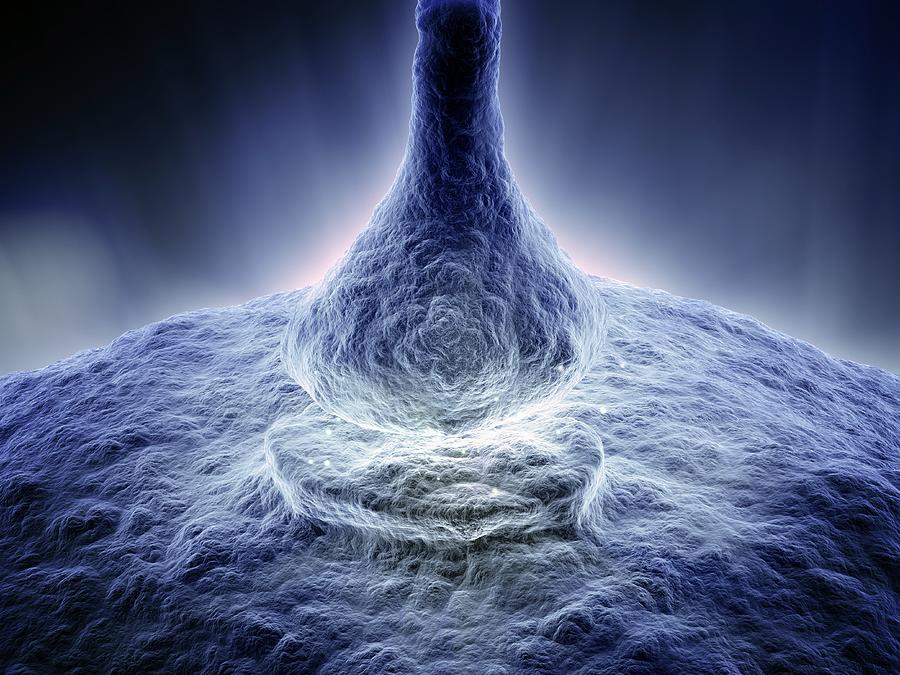 Synapse, Artwork #1 Digital Art by Andrzej Wojcicki