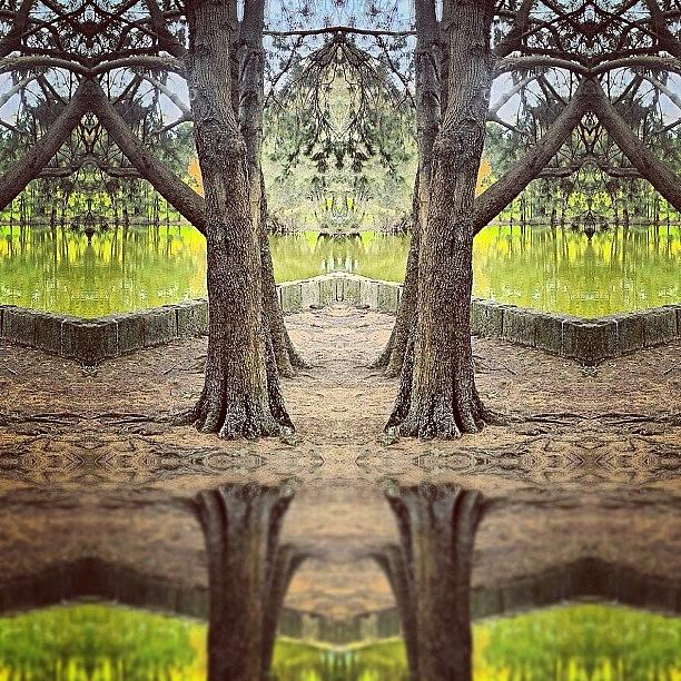 Abstract Photograph - #tagstagram .com #abstract #symmetry #1 by Dan Coyne