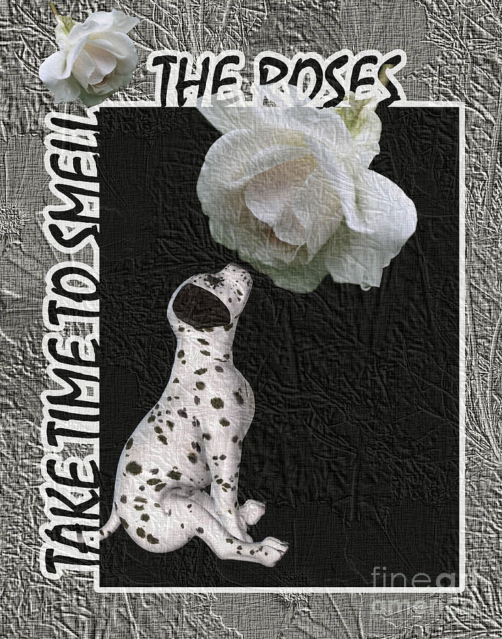 Take Time To Smell The Roses #1 Digital Art by Smilin Eyes Treasures