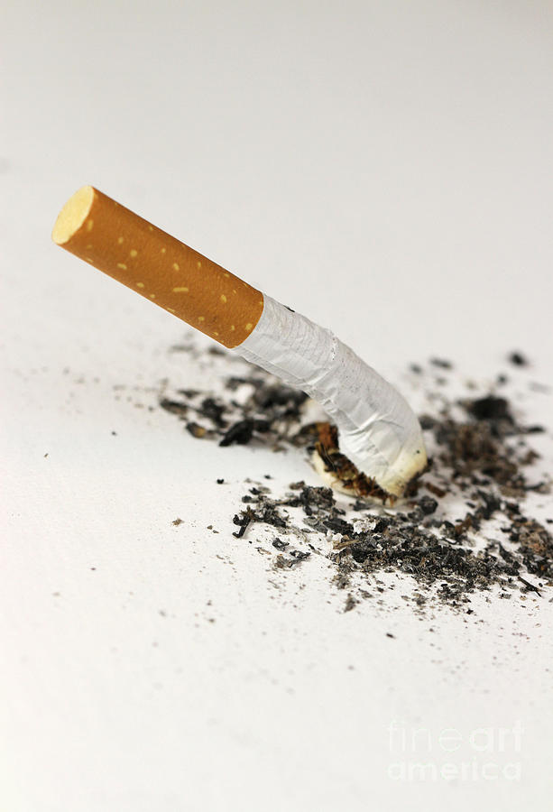 Addiction Photograph - Tamped-out Cigarette #1 by Photo Researchers, Inc.