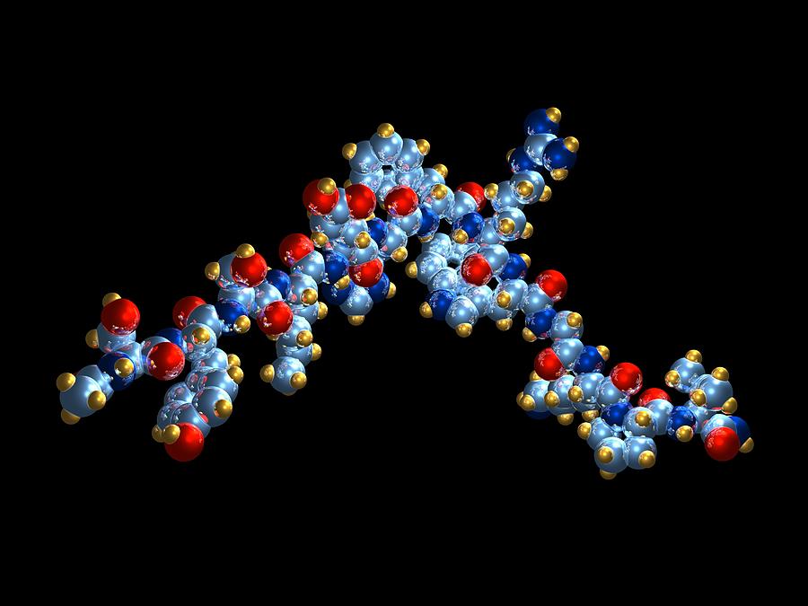 Tanning Drug, Molecular Model Photograph by Dr Mark J. Winter - Fine ...