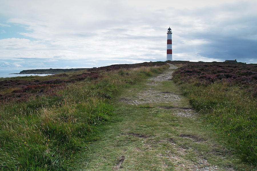 Lighthouse Photograph - Tarbat Ness Light by Steve Watson Lighthouse Photograph - Tarbat Ness Light by Steve Watson