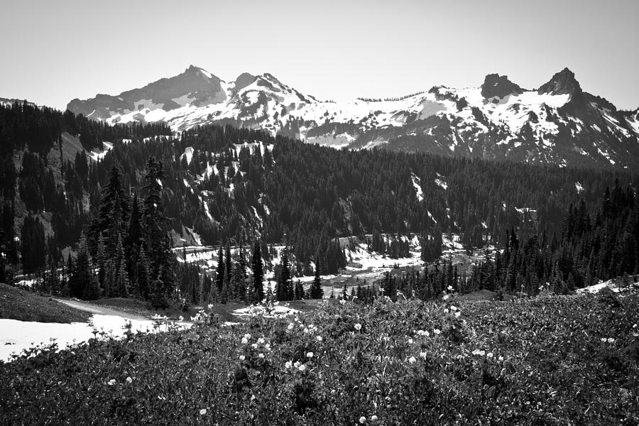 Tatoosh Range in the Cascade Mountains #1 Photograph by David Patterson