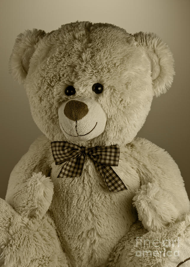Toy Photograph - Teddy bear #1 by Blink Images