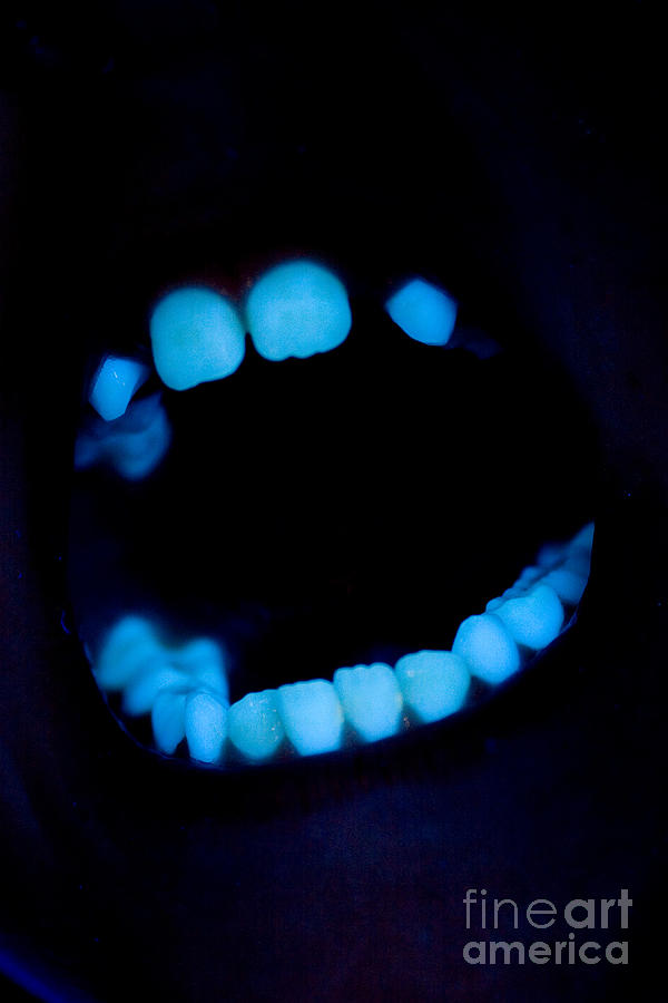 Teeth #2 Photograph by Ted Kinsman