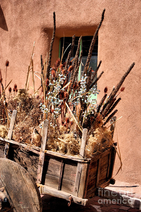 Desert Photograph - Textures of Taos #1 by Linda Eshom