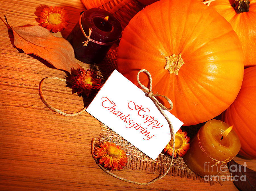 Thanksgiving holiday decoration border Photograph by Anna Om - Fine Art ...