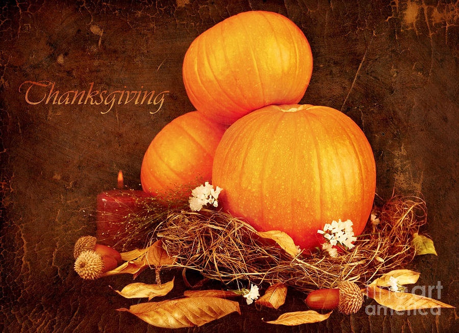 Thanksgiving holiday greeting card Photograph by Anna Om | Fine Art America