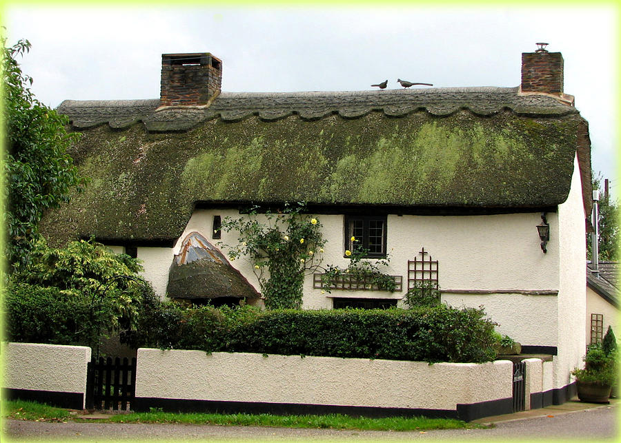 Thatched Cottage #1 Photograph by Carla Parris