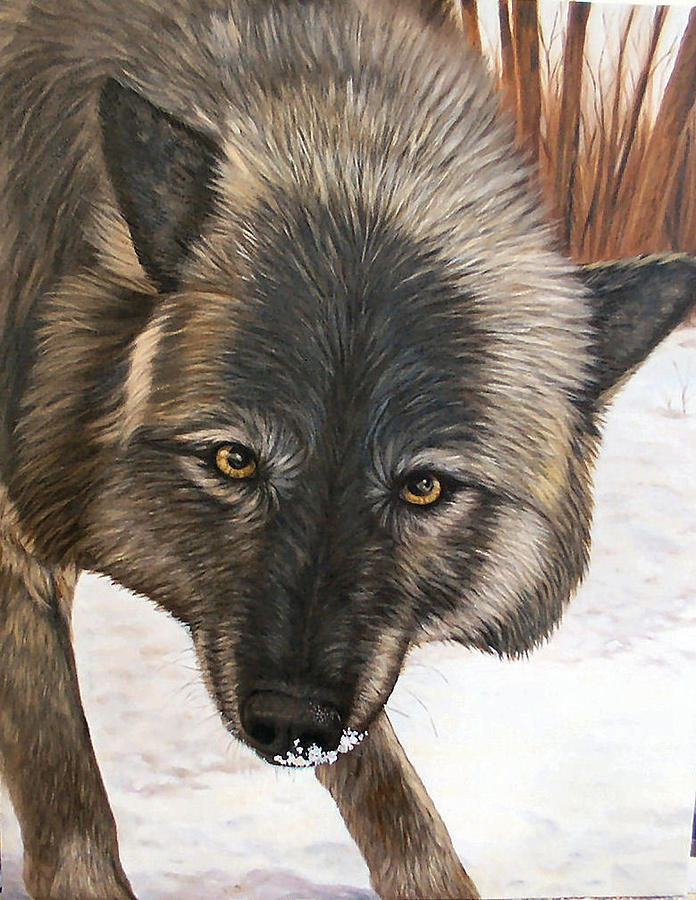 Wolves Painting - Thats Close Enough #1 by Mary Singer