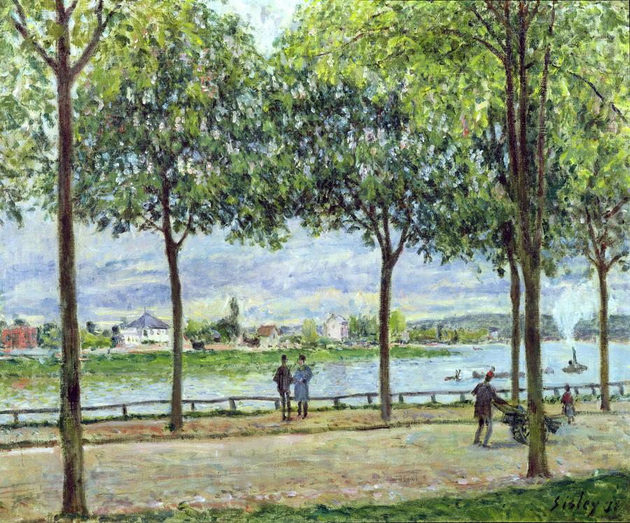 The Avenue of Chestnut Trees Painting by Alfred Sisley