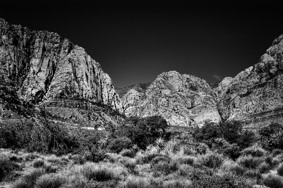 The Beautiful Red Rock Canyon #1 Photograph by David Patterson