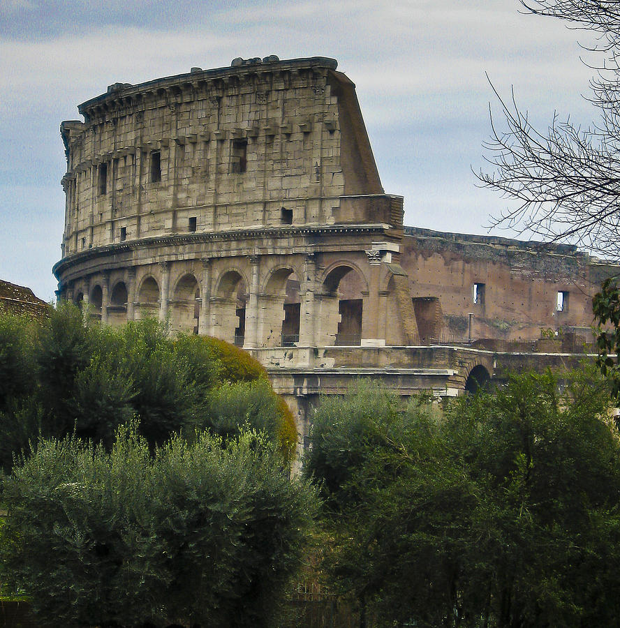 The Colosseum Photograph by Peggie Strachan
