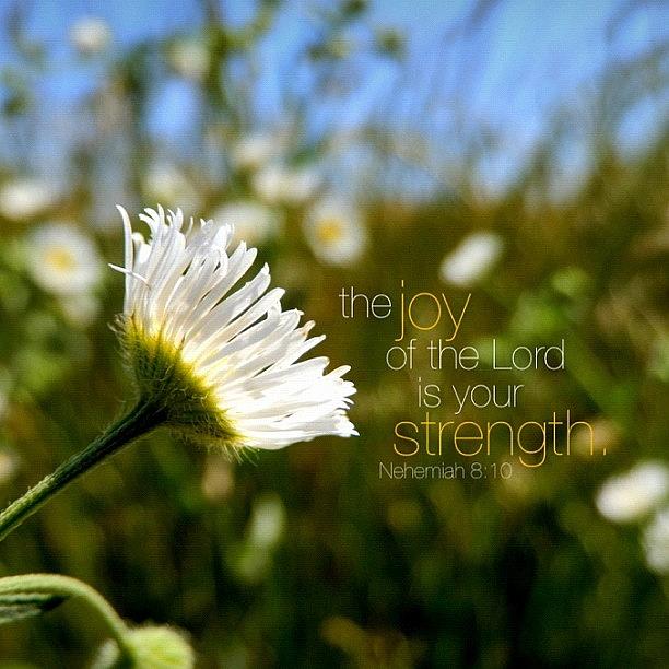 the Joy Of The Lord Is Your #1 Photograph by Traci Beeson