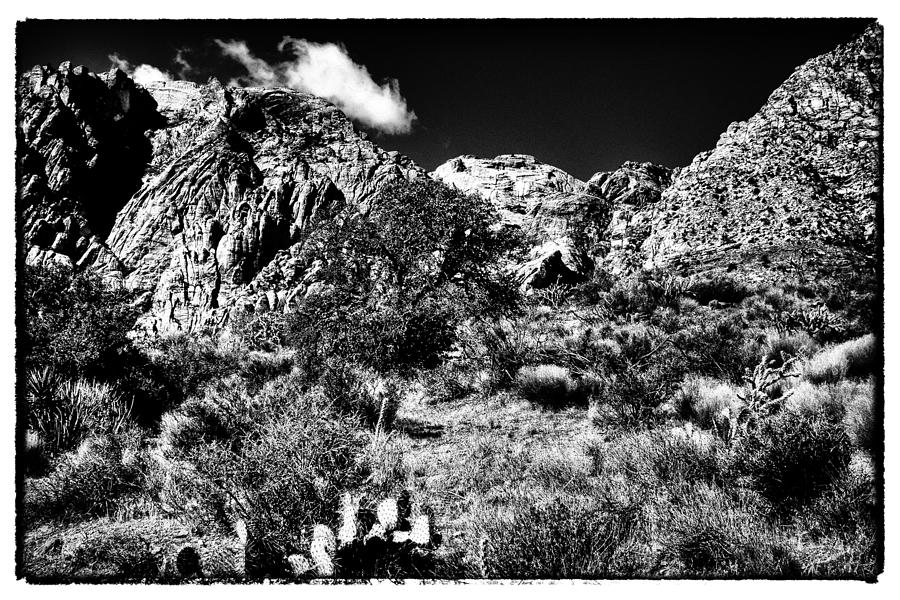 The Landscape of Red Rock Canyon Nevada #1 Photograph by David Patterson
