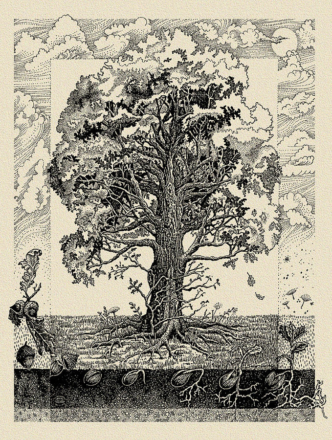 The Mighty Oak #1 Drawing by ErnestineGrindal SaraClarke