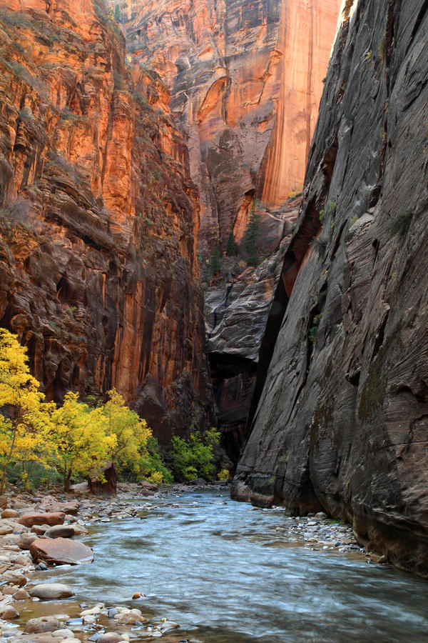 Fall Photograph - The Virgin Narrows in Zion #1 by Pierre Leclerc Photography