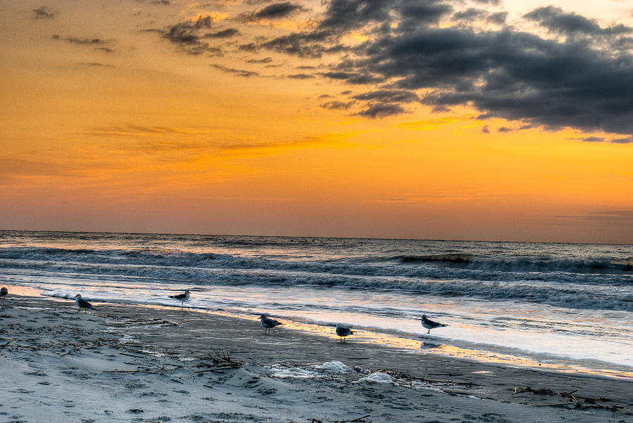 The Wintery Feeling Beach at Sunrise #1 Photograph by Dennis Dame