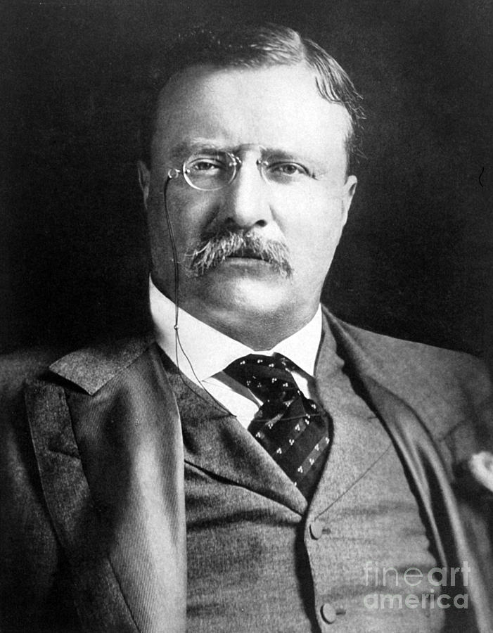 Theodore Roosevelt, 26th American #1 Photograph by Science Source