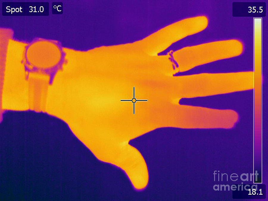 Thermogram Of A Hand #1 Photograph by Ted Kinsman